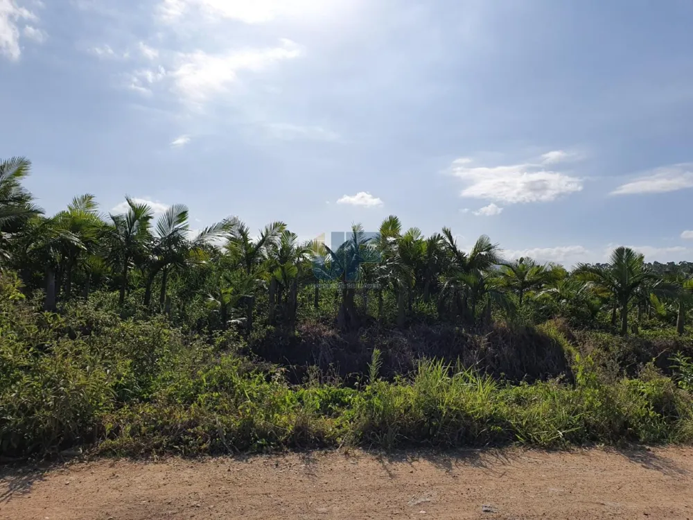 Terreno com 680.000 m² o mesmo está localizado as margens da BR-470  NAVEGANTES.