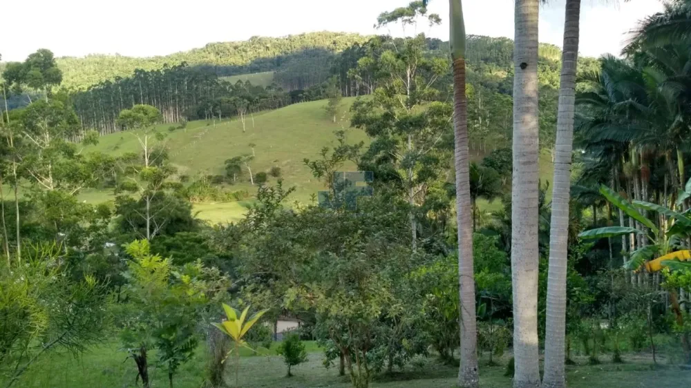 Lindo sítio em área rural de Camboriú no Braço, escriturado com 31.990,00 M² .