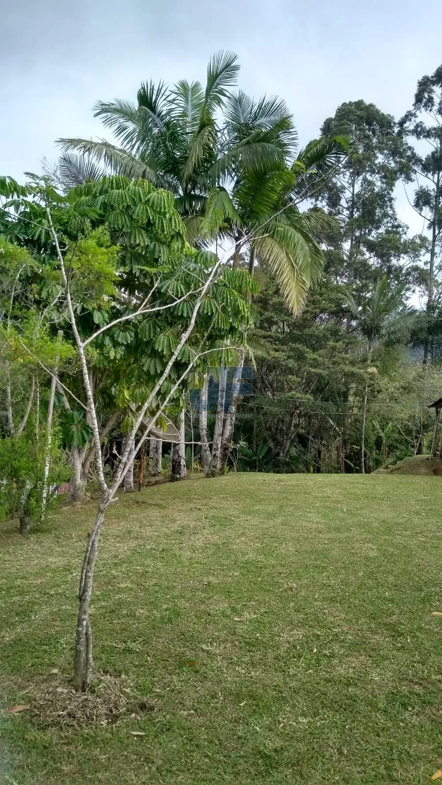 Lindo sítio em área rural de Camboriú no Braço, escriturado com 31.990,00 M² .