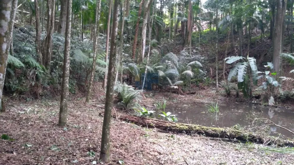 Lindo sítio em área rural de Camboriú no Braço, escriturado com 31.990,00 M² .