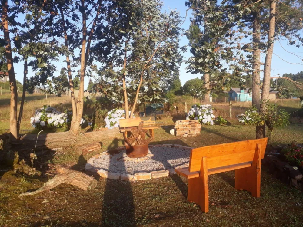 Oportunidade de investimento! Imóvel comercial localizado no Centro de São Francisco de Paula