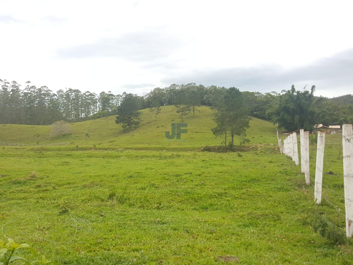 Esse sítio no bairro Rio do Meio, em Camboriú, é uma verdadeira oportunidade.