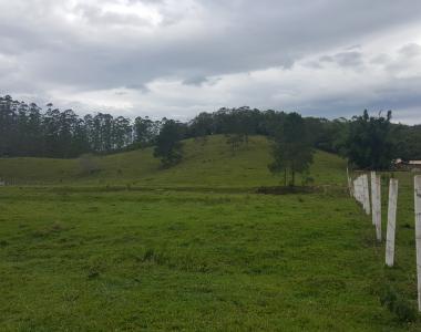 Esse sítio no bairro Rio do Meio, em Camboriú, é uma verdadeira oportunidade.