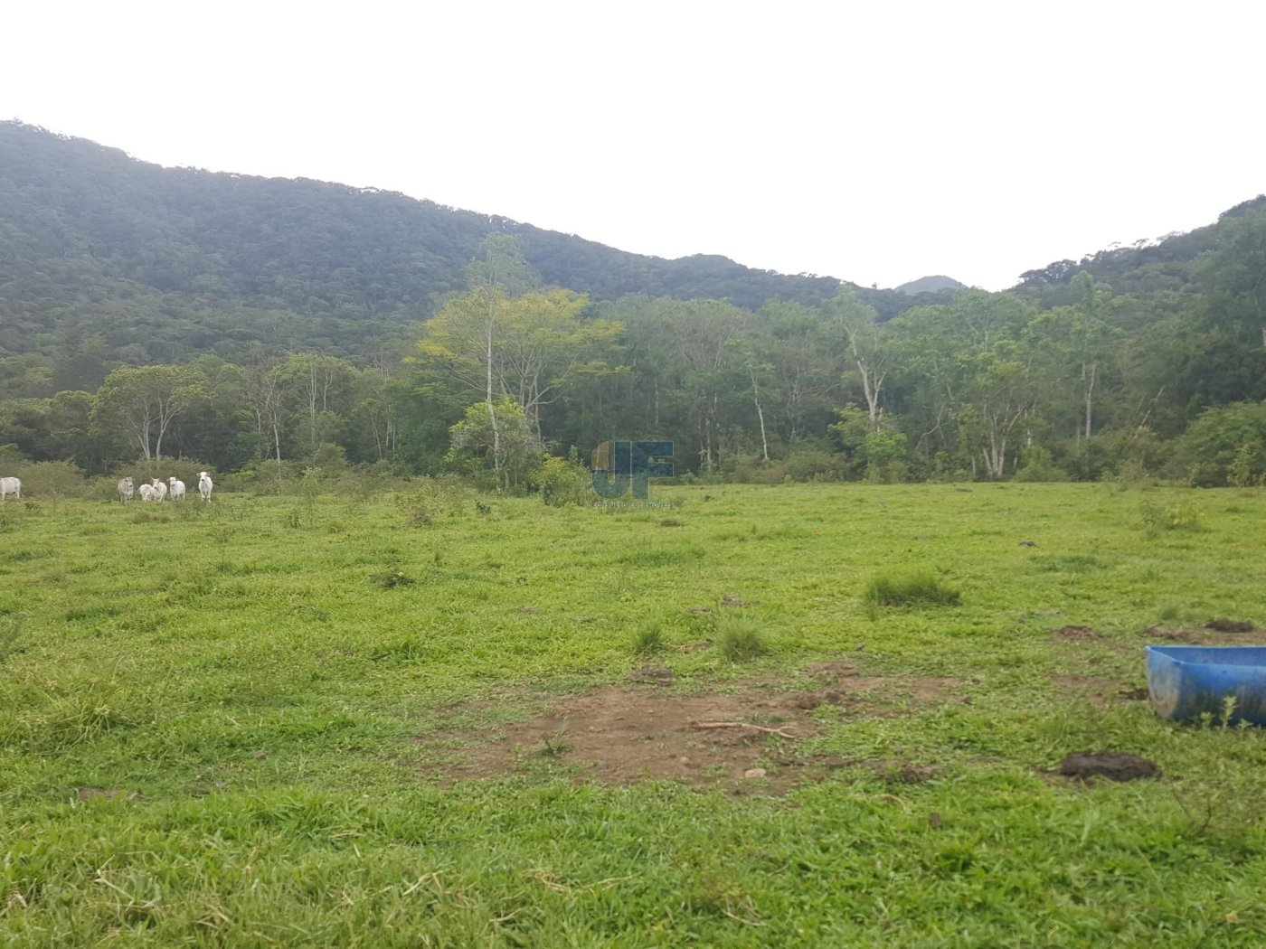 Esse sítio no bairro Rio do Meio, em Camboriú, é uma verdadeira oportunidade.