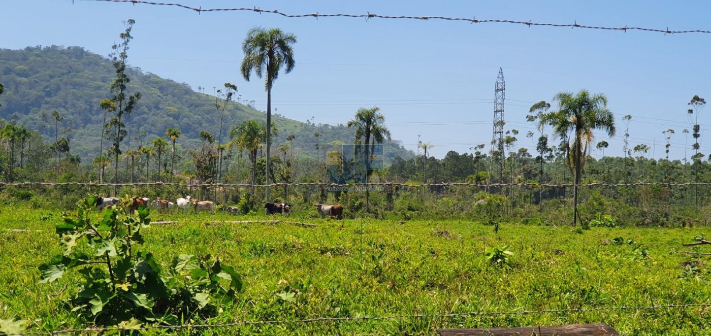 Linda área de terra com 19 hectares em Araquari/SC