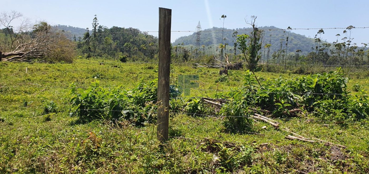 Linda área de terra com 19 hectares em Araquari/SC
