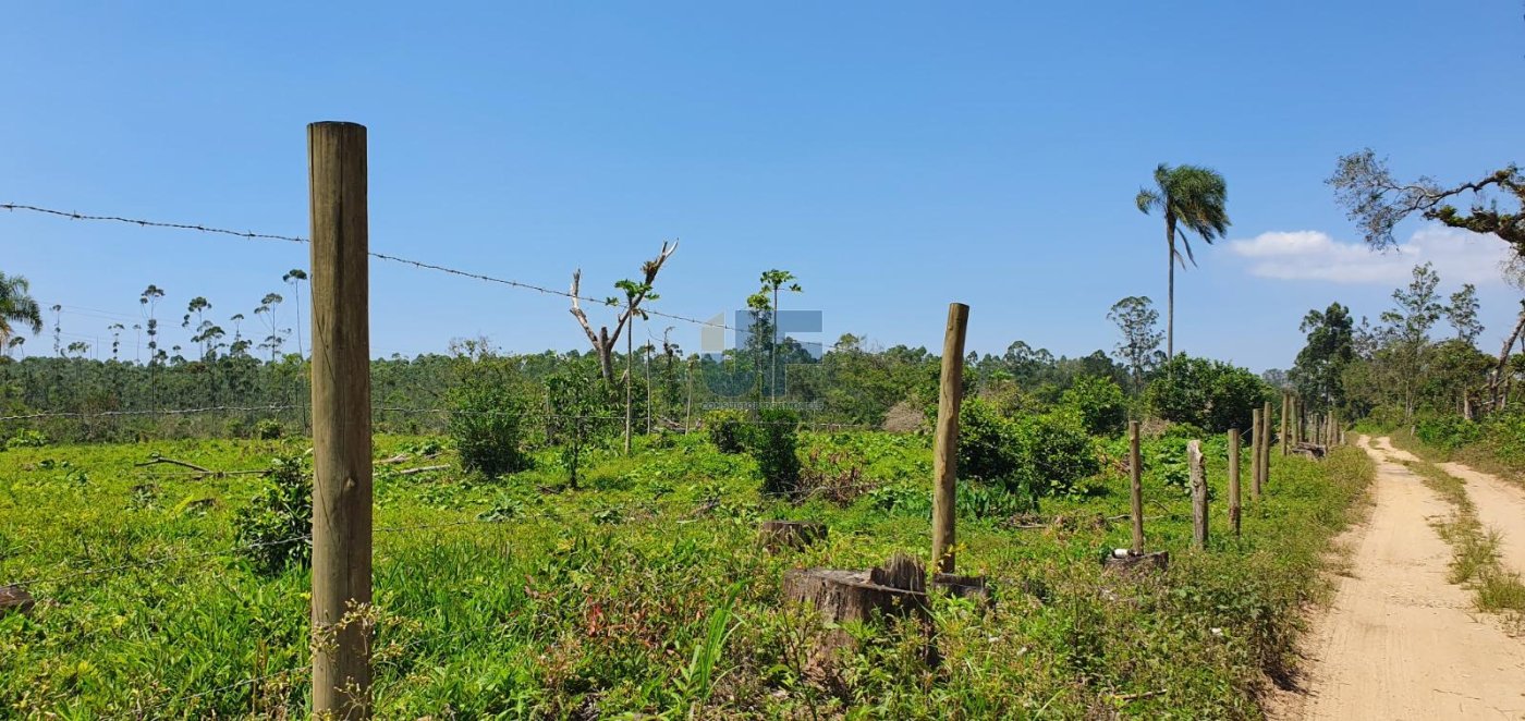 Linda área de terra com 19 hectares em Araquari/SC