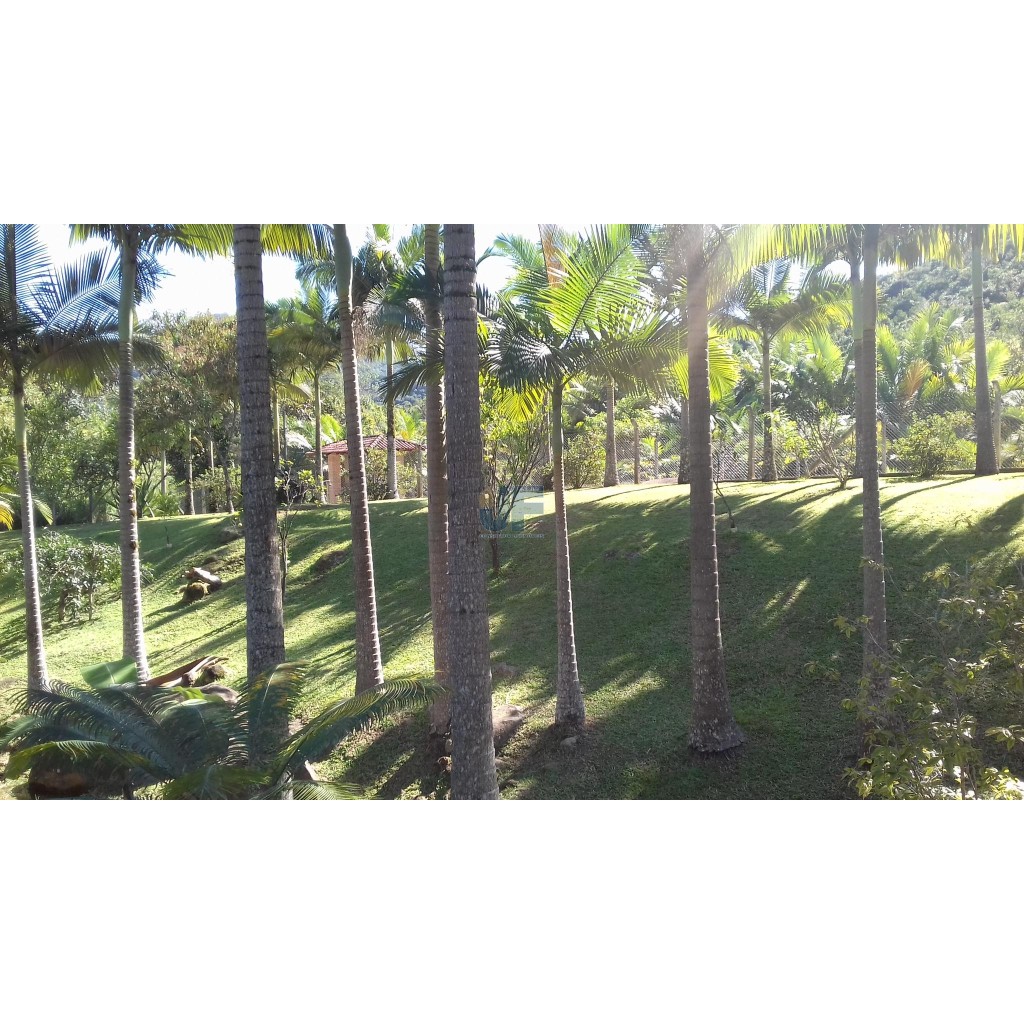 Sitio para Quem Tem Bom Gosto Encontra - Se A 24 Km De Balneário Camboriú    