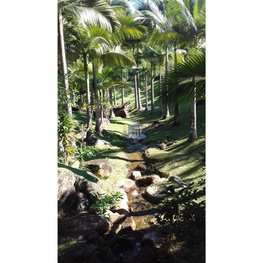 Sitio para Quem Tem Bom Gosto Encontra - Se A 24 Km De Balneário Camboriú    