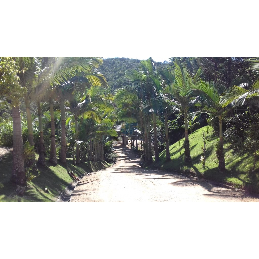 Sitio para Quem Tem Bom Gosto Encontra - Se A 24 Km De Balneário Camboriú    