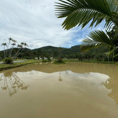 Esse sítio de alto padrão à venda em Camboriú, com estrutura completa e localiza