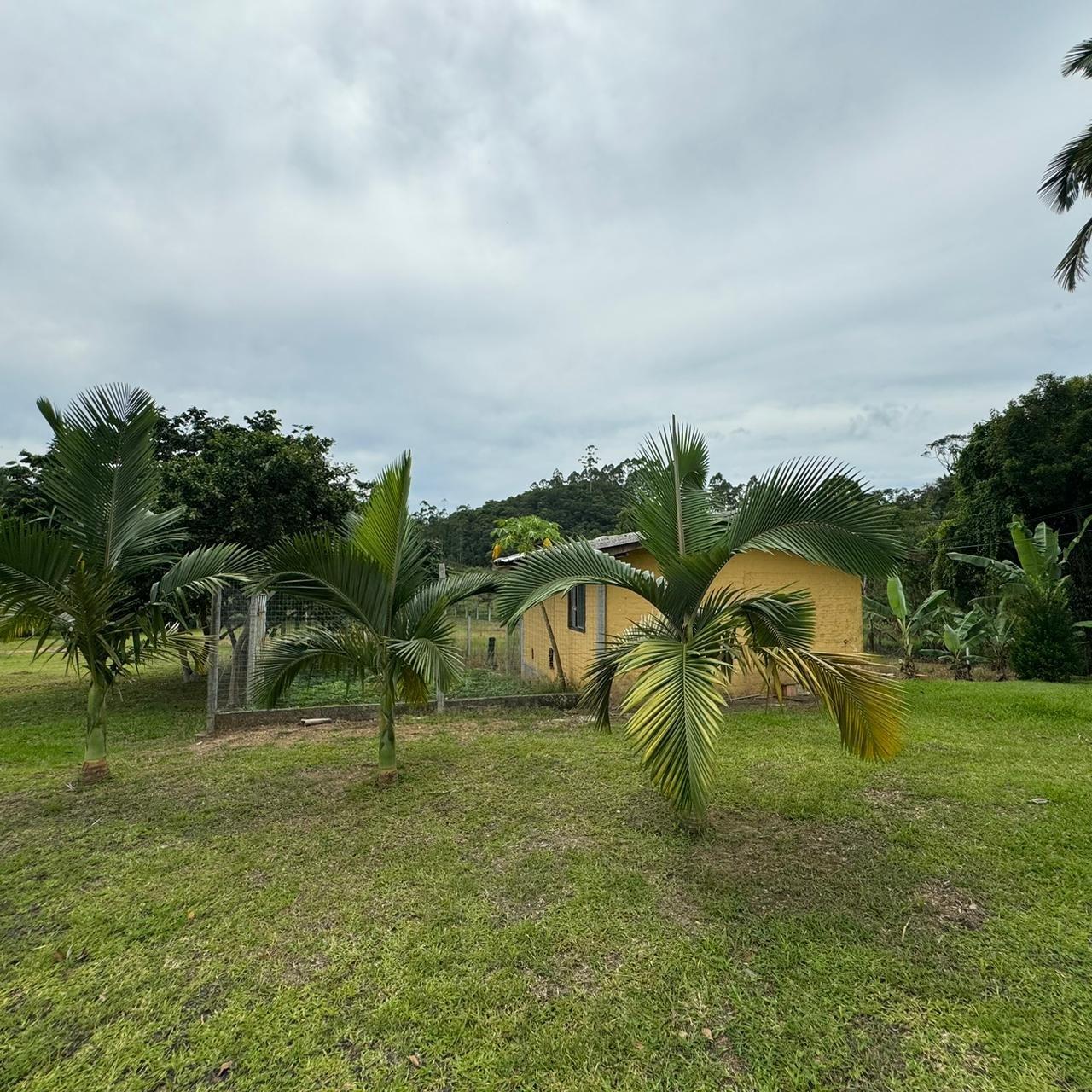 Esse sítio de alto padrão à venda em Camboriú, com estrutura completa e localiza