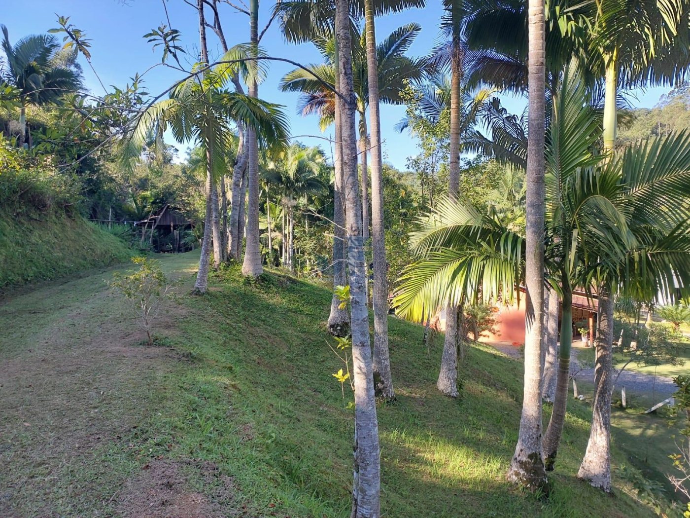 Esse sítio no bairro Limeira, em Brusque/SC, é uma excelente opção.
