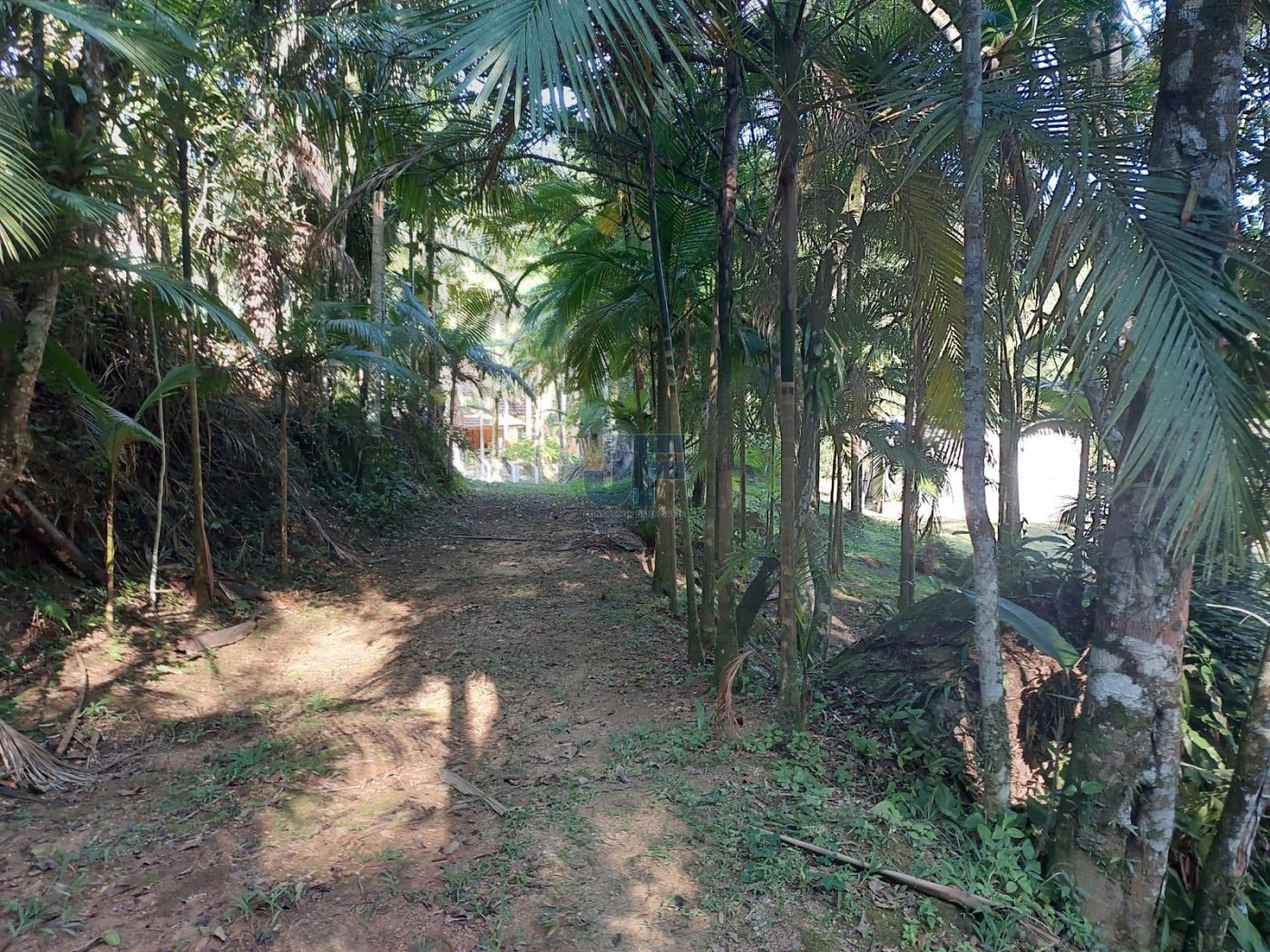 Esse sítio no bairro Limeira, em Brusque/SC, é uma excelente opção.