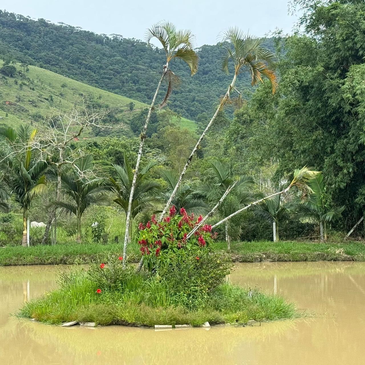  Sítio de Alto Padrão à Venda em  Camboriú – SC