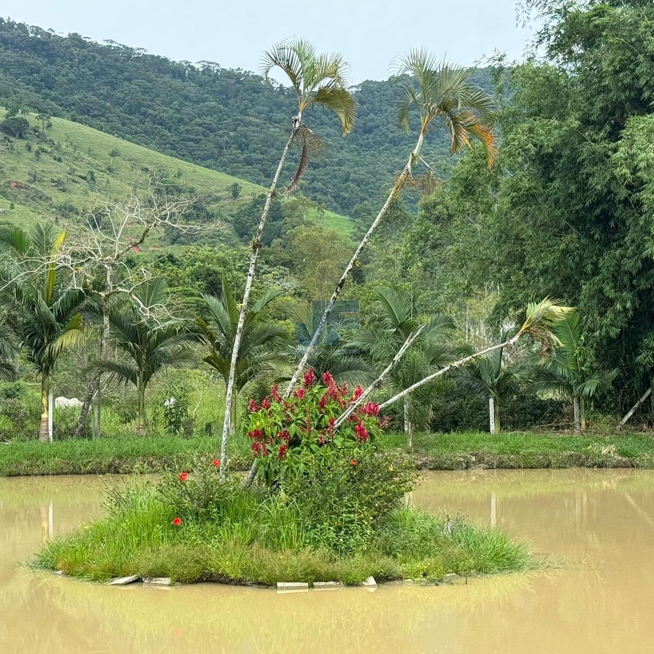  Sítio de Alto Padrão à Venda em  Camboriú – SC
