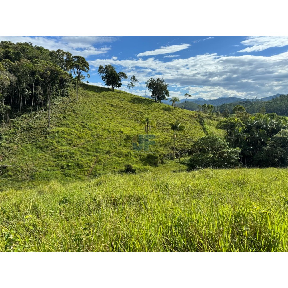  Area Rural • Ideal para loteamento rural, criação de gado, cultivo agrícola o.