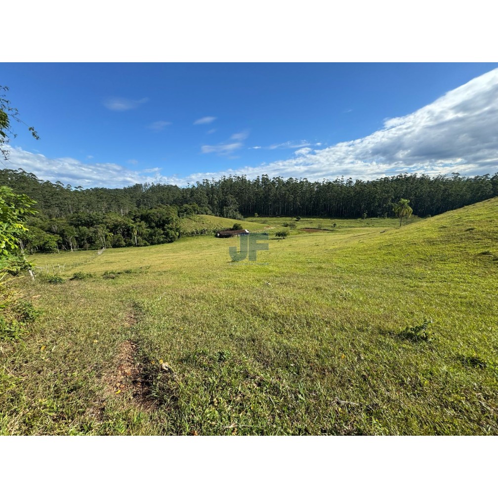  Area Rural • Ideal para loteamento rural, criação de gado, cultivo agrícola o.