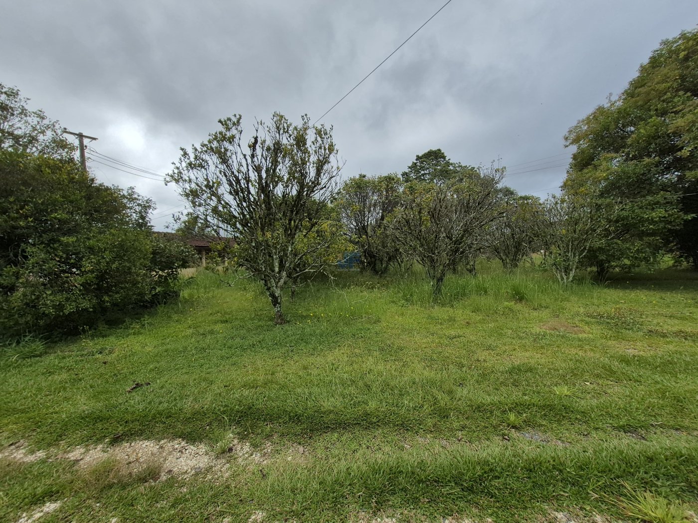 Área de terras  Rodovia BR 277 Km 165, Palmeira – PR. Localização privilegiada 