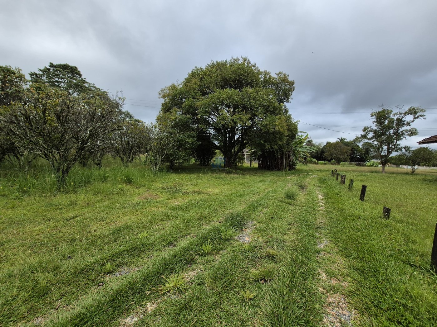 Área de terras  Rodovia BR 277 Km 165, Palmeira – PR. Localização privilegiada 