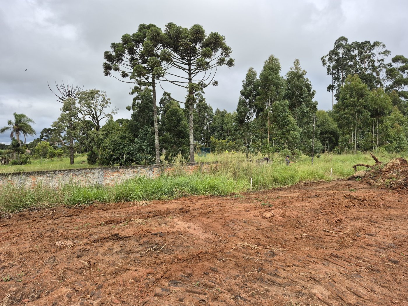 Área de terras  Rodovia BR 277 Km 165, Palmeira – PR. Localização privilegiada 