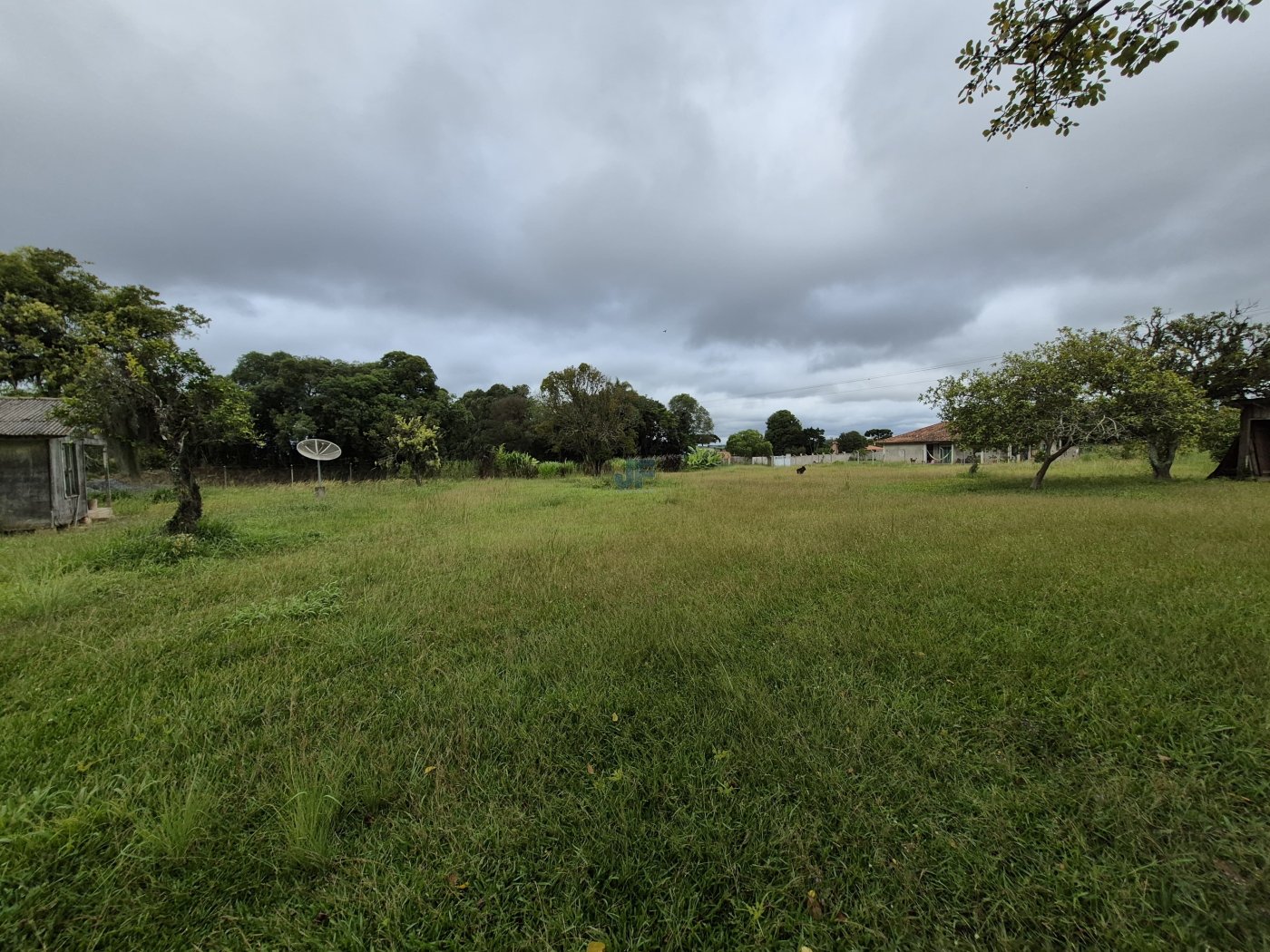 Área de terras  Rodovia BR 277 Km 165, Palmeira – PR. Localização privilegiada 