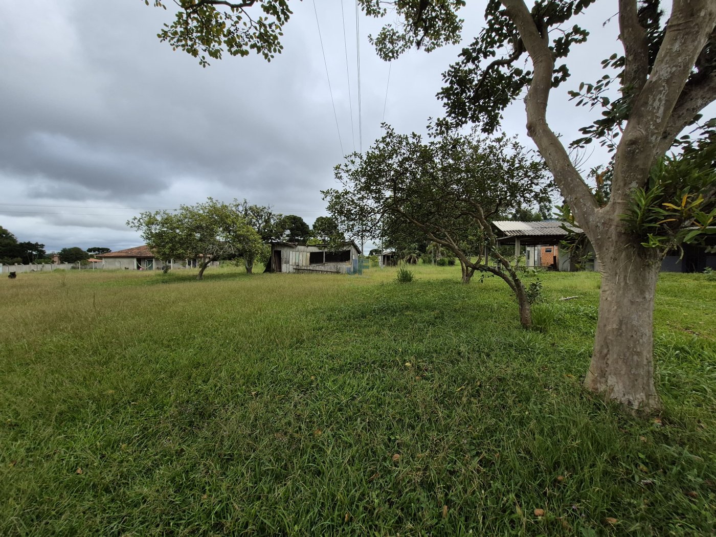 Área de terras  Rodovia BR 277 Km 165, Palmeira – PR. Localização privilegiada 