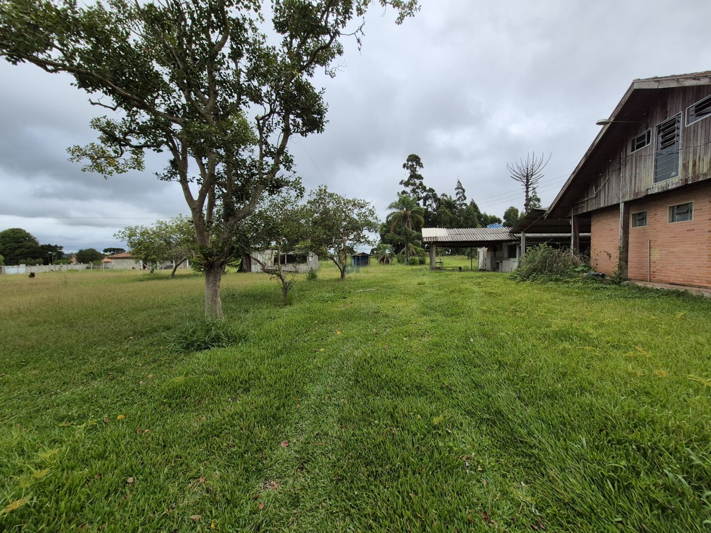 Área de terras  Rodovia BR 277 Km 165, Palmeira – PR. Localização privilegiada 